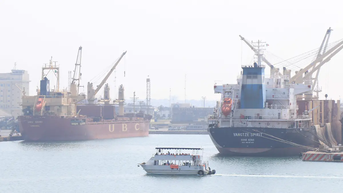 Zona Portuaria Puerto de Veracruz-Eduardo Murillo (3)